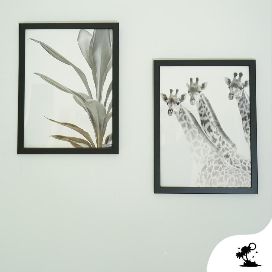 Sofia Rooms نابولي المظهر الخارجي الصورة